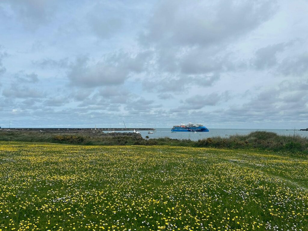 Weite Aufnahme vom Land aus. Im Vordergrund sehen wir eine grüne Wiese mit zahlreichen kleinen gelben Blumen. Im Hintergrund erkennt man das Wasser und sieht ebenfalls das Kreuzfahrtschiff MS Albatros. Zahlreiche kleinere Boote befinden sich in der Nähe. Der Himmel ist nur leicht bewölkt, eine freundliche Stimmung geht vom Bild aus. 