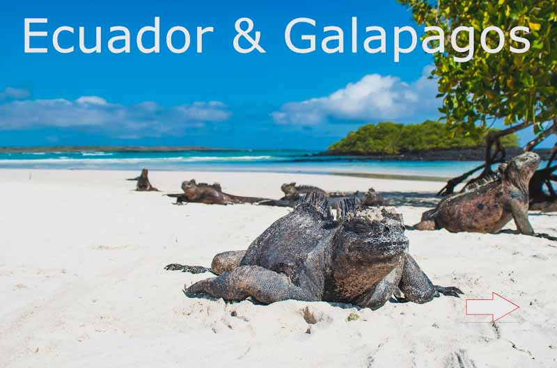 Galpagos Inseln Ecuador