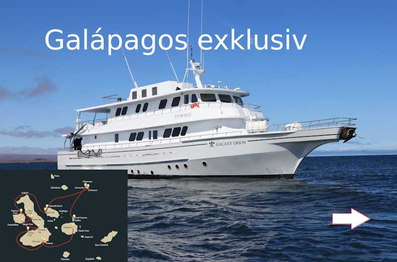 Kreuzfahrt Galapagos 