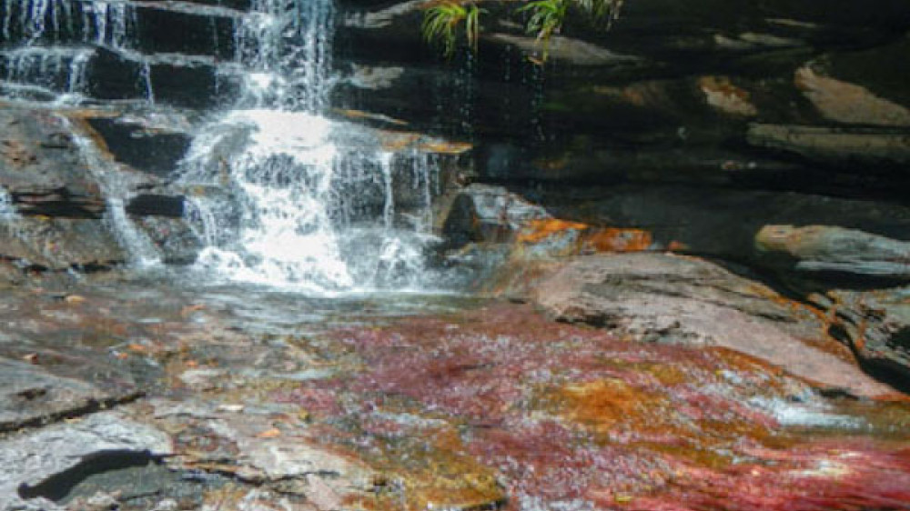 Kleiner Wasserfall Cano Cristales ()