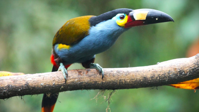 <strong>Faszination Ecuador</strong>